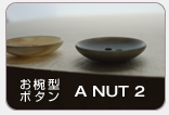 ���з��ܥ���A NUT 2
